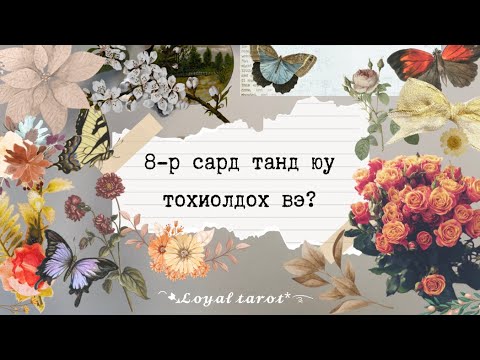 Видео: 🥀✨ 8-р сар тань ямар байх вэ? Ажил карьер, хайр дурлал, хувь хүн ✨🥀 /Нэмэлттэй/ 🌻