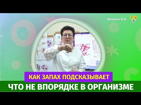 Видео: О чем расскажет пот, как запах подсказывает, что не в порядке в организме?