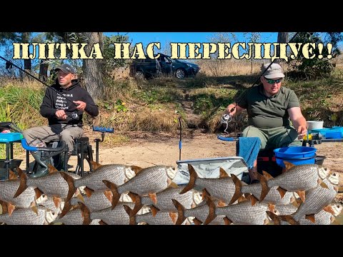 Видео: Фідерна рибалка на Ладижинському водосховищі. Хотіли ляща, а зловили відро плотви. ЛЯЩ, ТИ ДЕ?!