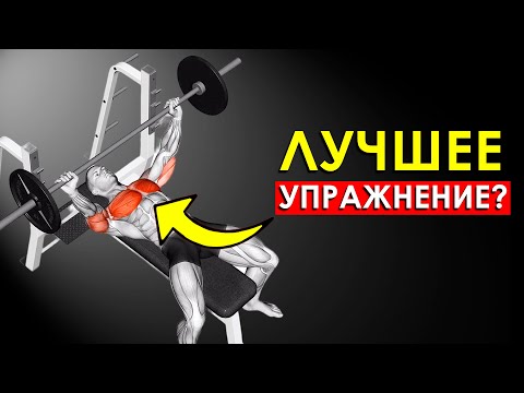 Видео: Вот Что Произошло с Моим Телом, Когда я Начал Делать Жим Штанги Лежа