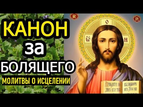 Видео: КАНОН ЗА БОЛЯЩЕГО