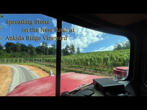 Видео: Распределение камня на новой дороге в Винограднике
