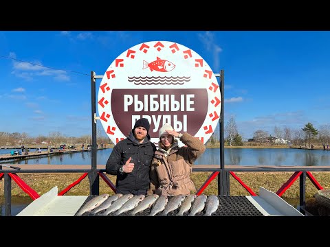 Видео: Форелевая рыбалка в "Рыбные Пруды" с Елизаветой г. Санкт-Петербург