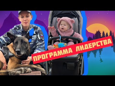 Видео: Лидер в стае, как ставь вожаком, собака не слушается, главный в доме, собака не любит ребенка