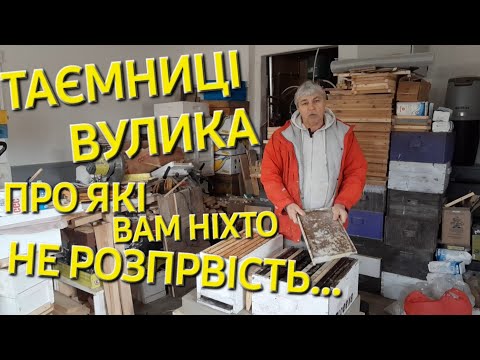 Видео: Таємниці вулика про які вам ніхто не розповість... #бджільництвов6тирамвуликах