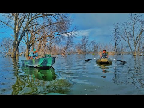 Видео: Рибалка на карася в затопленому лісі🪾В цих корчах повно риби 🎣  На човні 🚣‍♂️ потрапили в шторм ⛈️