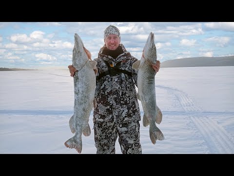 Видео: ПОПАЛИ НА РАЗДАЧУ!!! ЩУКА НА ЖЕРЛИЦЫ ОДНА ЗА ОДНОЙ