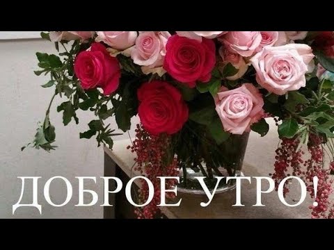 Видео: Доброго утра.Хорошего дня.Песня.Ностальгия по молодости.