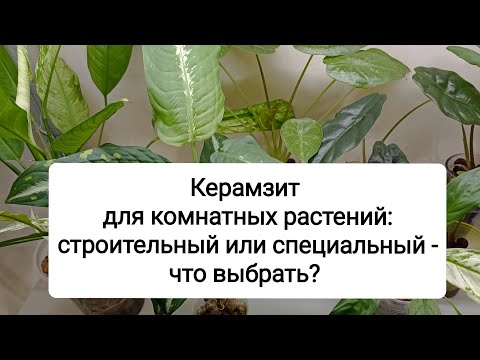 Видео: Керамзит для комнатных растений: строительный или специальный - что выбрать?