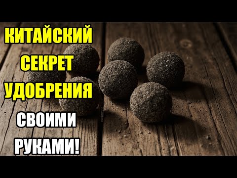 Видео: КАК Я ДЕЛАЮ ПИТАТЕЛЬНЫЕ ШАРИКИ ДЛЯ РАСТЕНИЙ! Растут быстрее и без болезней!