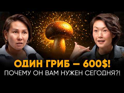 Видео: ГРИБЫ, КОТОРЫЕ МОГУТ ПРОБУДИТЬ МОЗГ, УКРЕПИТЬ ТЕЛО И СПАСТИ ПЛАНЕТУ! КОРДИЦЕПС, ЧАГА, РЕЙШИ