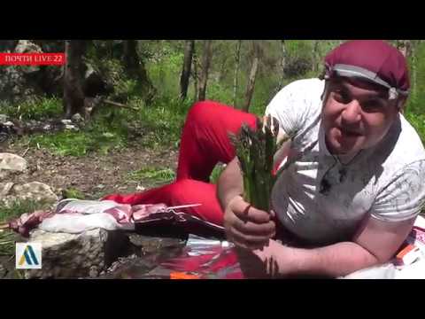 Видео: Почти Live 22 / Поход в зонтики