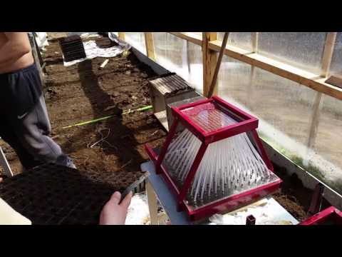 Видео: Посев капусты