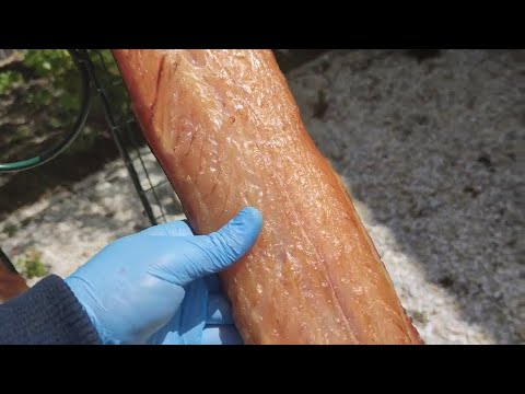 Видео: Холодное  копчение рыбы Сом! Балык из сома.