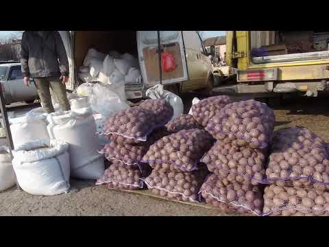 Видео: На весеннем Базаре. Желтые Воды, 28.03.21.