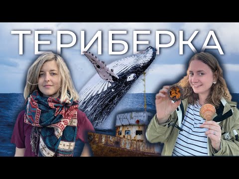 Видео: ТЕРИБЕРКА полный обзор | КИТЫ и Тундра | как добраться, что смотреть, цены, погода, ЛЕТО 2020