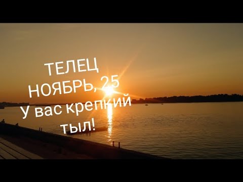 Видео: ТЕЛЕЦ НОЯБРЬ 2025 года Общие сферы жизни