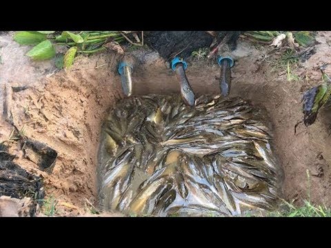 Видео: 10 ГЕНИАЛЬНЫХ СПОСОБОВ ЛОВИТЬ РЫБУ БЕЗ УДОЧКИ