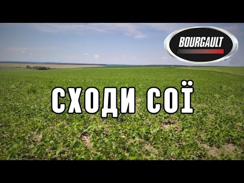 Видео: Сходи сої після сівалки Bourgault FMS CD 848