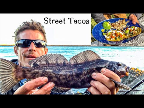 Видео: ВКУСНЫЕ УЛИЧНЫЕ ТАКО С ОКУНЕМ И ПИКО-ДЕ-ГАЛЬО! Ловля рыбы с причала и приготовление