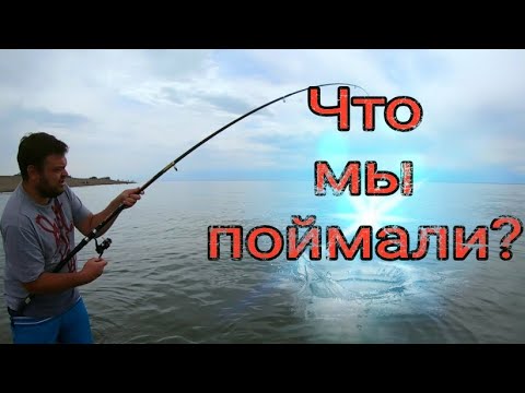 Видео: Отдых и рыбалка на Капшагае. Пляж Шенгельды. Целый день полного релакса.