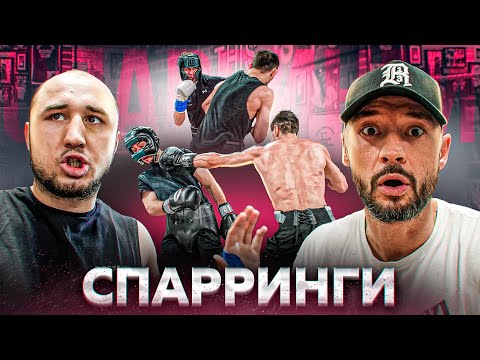 Видео: ТИМУР НИКУЛИН И СПАРРИНГИ В CALIFORNIABOXING
