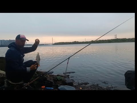 Видео: Погода Г...🌧️Та не для Риби🐟🍂 Осіння ПЛОТВА клює в закид на набережній Києва 🎣 Найкраща насадка 🚨❓⚠️