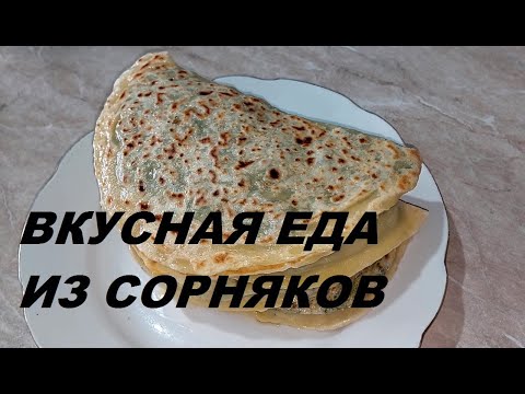 Видео: Чуду с крапивой и мокрицей. Вкусная еда из сорняков.