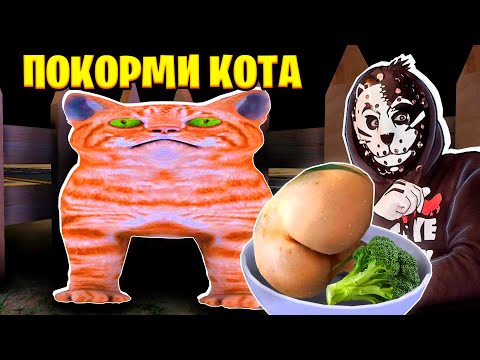 Видео: ПОКОРМИ КОТА!