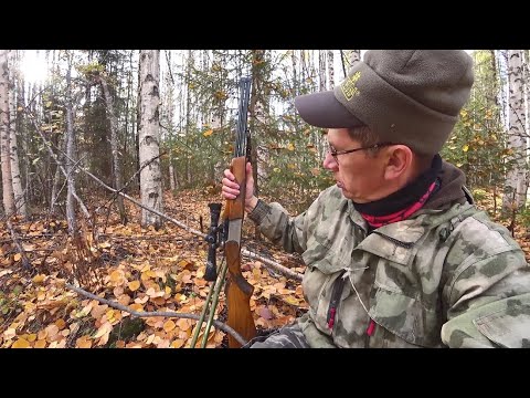 Видео: Какое ЛУЧШЕЕ оружие для ходовой охоты в тайге. 4 серия