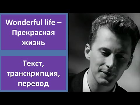 Видео: Black – Wonderful Life – текст, перевод, транскрипция