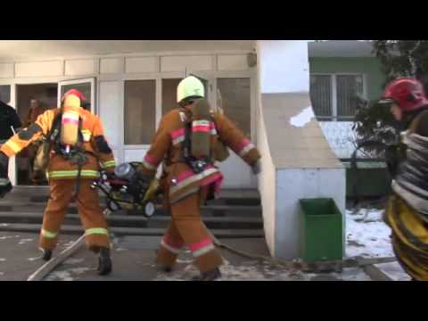 Видео: Пожар в семейном общежитии по улице Солтыса