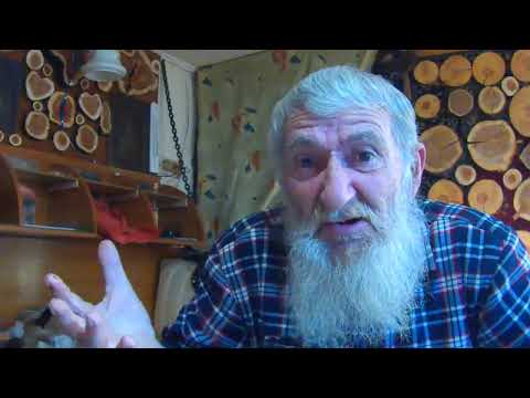 Видео: Анализирую прогулки с Дусей