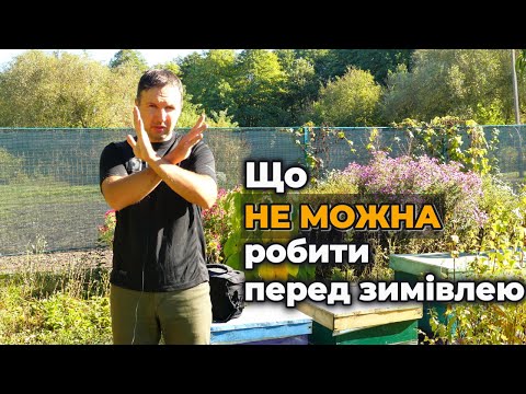 Видео: Що НЕ ТРЕБА робити з бджолами восени. Помилки бджолярів