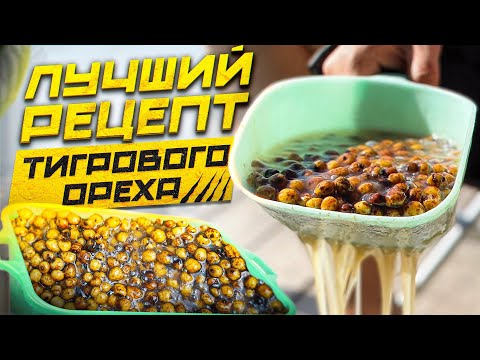 Видео: КАК ПРАВИЛЬНО ГОТОВИТЬ ТИГРОВЫЙ ОРЕХ С СОПЛЯМИ?! Рецепт от А до Я. Tiger Nut