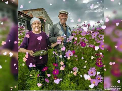 Видео: Нам года- не беда 😃