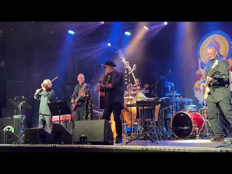 Видео: 06 - Ангел, Борис Гребенщиков, 25.10.2025, Вена 