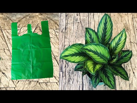 Видео: Как сделать растение калатеи из полиэтиленового пакета »вики полезно Идеи Цветочных Поделок