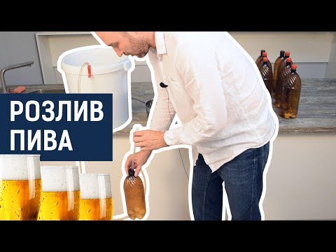 Видео: Розлив пива на карбонизацию