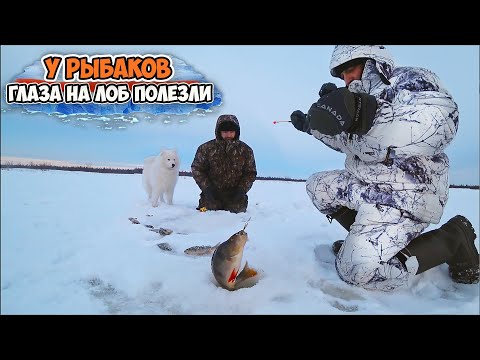Видео: ЗАМЁРЗШИЕ, НО СЧАСТЛИВЫЕ \ ЩЕДРАЯ РАЗДАЧА ОКУНЯ МЕШКАМИ \ СРЕДИ СНЕГОВ ТУНДРЫ \ КАЮР ПАЛЫЧ- ТАЛИСМАН