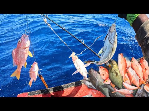 Видео: Через 6 дней после урагана «Мелисса» мы отправились в открытое море, чтобы заняться глубоководной...