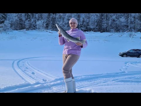 Видео: ВЗЯЛ ЖЕНУ НА РЫБАЛКУ. СЛАБОНЕРВНЫМ НЕ СМОТРЕТЬ. ЧАСТЬ 1.