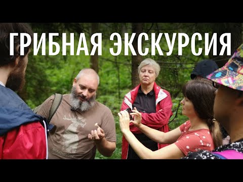 Видео: 9 августа 2025, Мытищинский лесопарк, бесплатная экскурсия для подписчиков тг-канала FUNGILINE