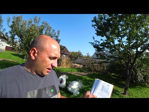 Видео: Заработок за сезон 2021 от 20 гусей