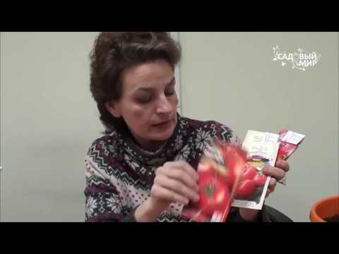 Видео: Как сеять томаты на рассаду  Выбор сортов 2017 год. Сайт "Садовый мир"