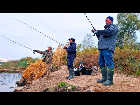 Видео: Ловили ВСІ мішками! ТОННИ риби стоїть під корчем! Рибалка на СПІНІНГ з берега!