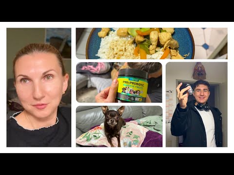 Видео: Тимур Подстригся 💇‍♂️ Рис в Кокосовом Молоке 👍 Посылка Для Собак 🐕 Что с Лапой 🤔 Влог 8.11.2025