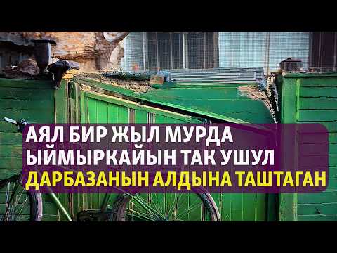 Видео: "Кайдасың азыр каралдым" | Элмира Ажыканова | Аңгеме | Аудиоказына | Аудио китеп