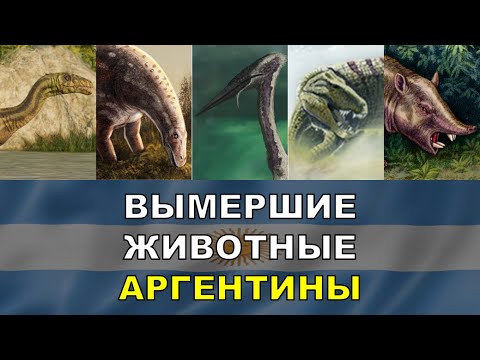 Видео: 5 Вымерших Животных Аргентины | Вымершие Животные Разных Стран