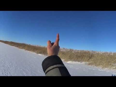 Видео: охота на зайца . отвел душу. столько косых еще невидел